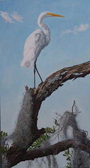 painting of Great Egret