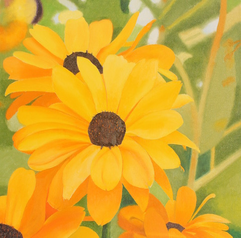 Black Eyed Susan