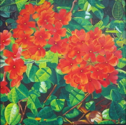 Red Verbena