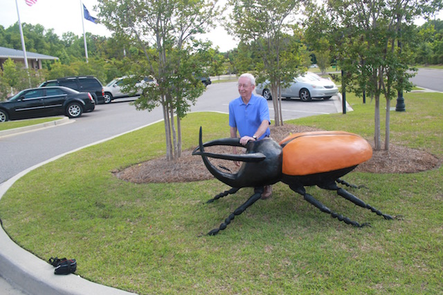 Indonesian Rhinoceros Beetle, displayed at the Fire Museum in Mt. Pleasant, SC