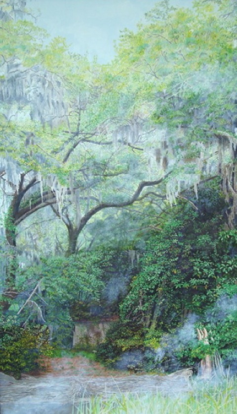 Toogoodoo Creek Scene